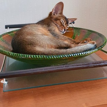 Safari Style фото 3