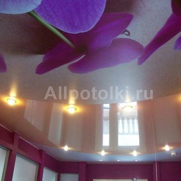 Аllpotolki фото 2