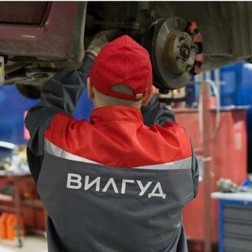 Автосервис Вилгуд на проспекте Академика Филатова фото 2