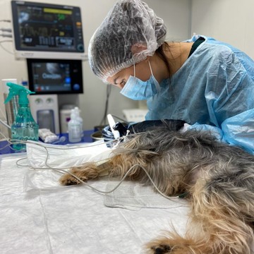 Ветклиника ionVet фото 1