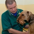 Фотография специалиста Сахаров Алексей Игоревич
