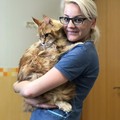 Фотография специалиста Лилякова Виктория Николаевна