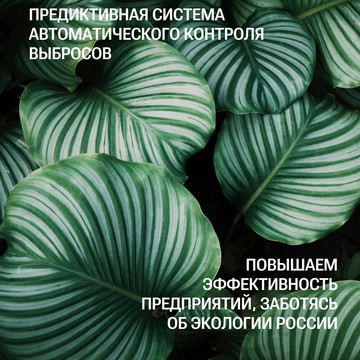 Цифровые Корпоративные Технологии фото 2