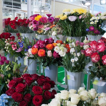 Ромашка на улице 9 Января фото 1