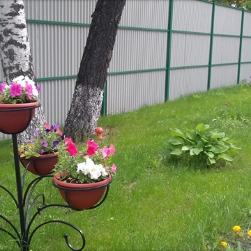 Академия детства детский сад №43 в Королёве фото 3