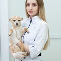 Фотография специалиста Коломзарова София Валерьевна