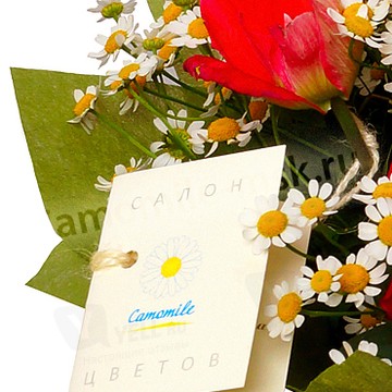 Camomile - Магазин Цветов и Подарков фото 2