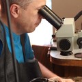 Фотография специалиста Руднев Артемий Владимирович