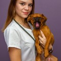 Фотография специалиста Дмитриева Дарья Алексеевна