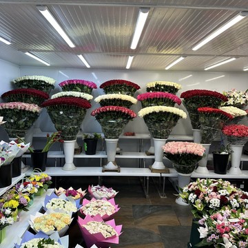 Цветочный магазин База цветов фото 3