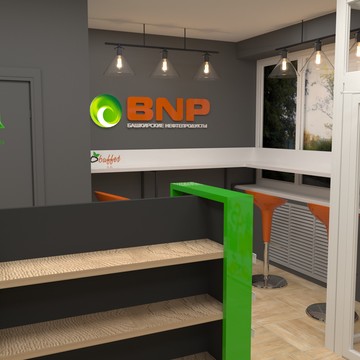 BNP ENERGY фото 3