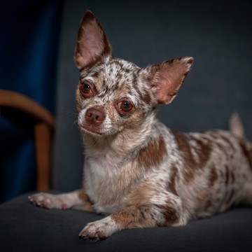 Фотостудия «Дикий Запад» фото 1