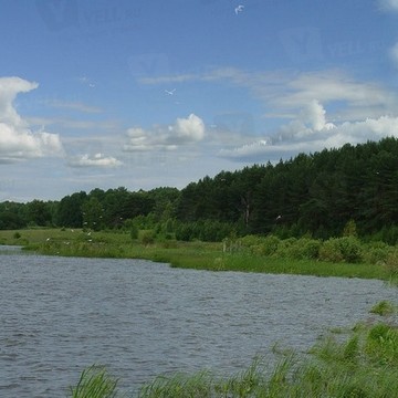 Поселок &quot;Боровки&quot; фото 2