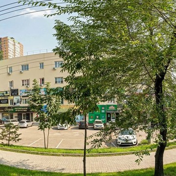 Студия груминга ДогСтайл фото 2