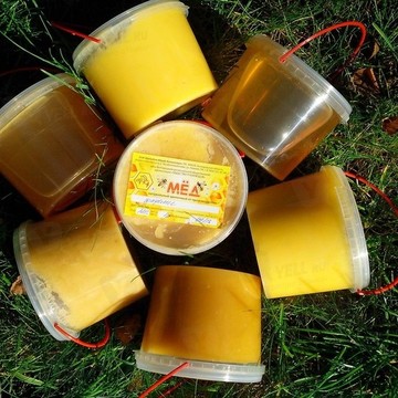 Мёд с пасеки натуральный цветочный от Холтобиных фото 1