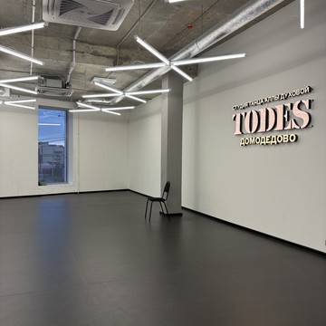 Школа танцев TODES Домодедово фото 2