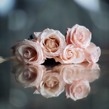 Флористическая студия Цветник на Ленинградском шоссе фото 3