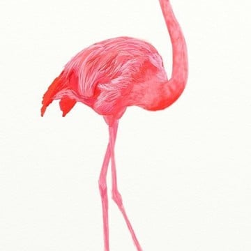 Салон красоты The Beauty Loft Flamingo фото 1