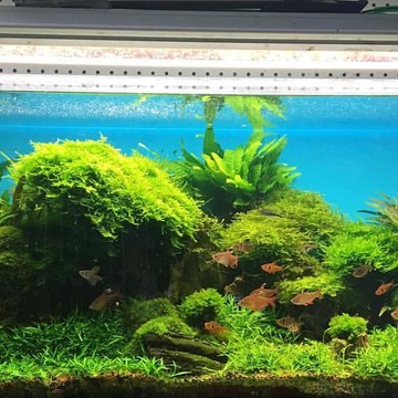 Магазин аквариумов Waterplant.ru фото 2