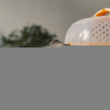 Ветеринарный центр Белый Бим на метро Московские Ворота фото 1