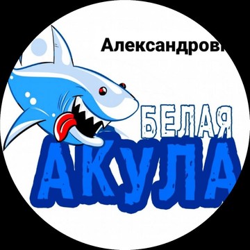 Интернет-магазин Белая акула на проспекте 40-летия Победы фото 1