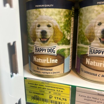 Дружок фото 2