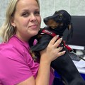 Фотография специалиста Журавлева Олеся Александровна
