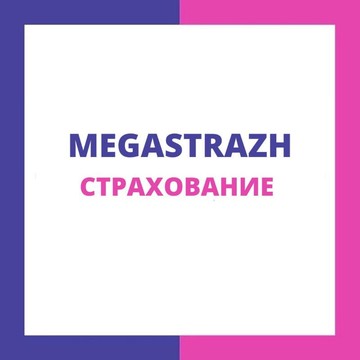 Компания Мега-Страж Техосмотр на улице Большое Васильево фото 1