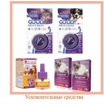 Магазин товаров для животных Zoodelo в Ворошиловском районе фото 2