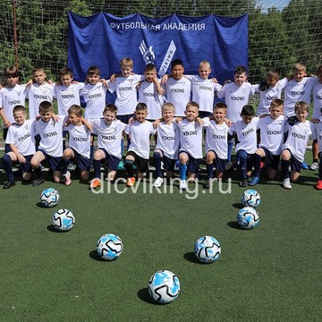 ДФК Викинг, Троиц - Коммунарка фото 1