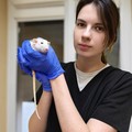 Фотография специалиста Вьюн Полина Дмитриевна