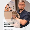 Фотография специалиста Коваленко Вадим Андреевич