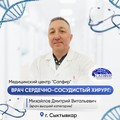 Фотография специалиста Михайлов Дмитрий Витальевич