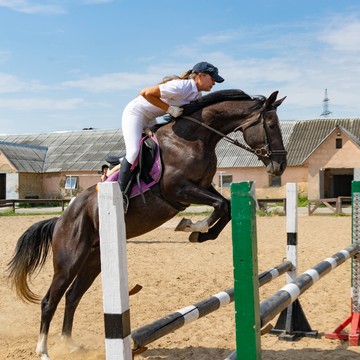 Конный клуб ChudoHorse фото 2