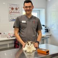 Фотография специалиста Говачаев Сардор Гахроманович