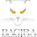 Chat bagira overview for
