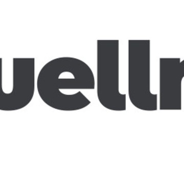 Wellmax фото 1