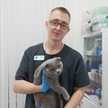 Фотография специалиста Сорокин Андрей Александрович