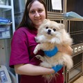 Фотография специалиста Стрельникова Евгения Сергеевна