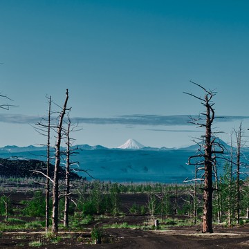 Russian Nature Travel фото 3