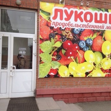 Лукошко на Судостроительной улице фото 1