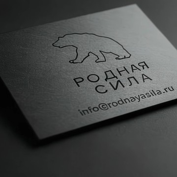 РОДНАЯ СИЛА фото 2