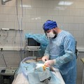 Фотография специалиста Исаев Евгений Викторович