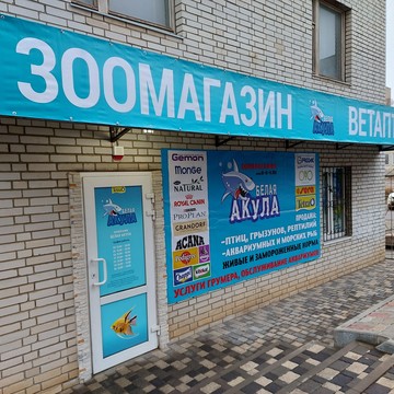 Интернет-магазин Белая акула на проспекте 40-летия Победы фото 2