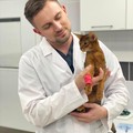 Фотография специалиста Базылевский Алексей Александрович