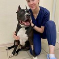 Фотография специалиста Верба Екатерина Андреевна