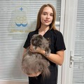 Фотография специалиста Костенко Анастасия Олеговна