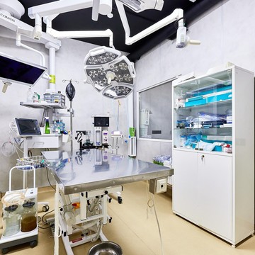 Ветеринарная клиника Happy pets фото 2