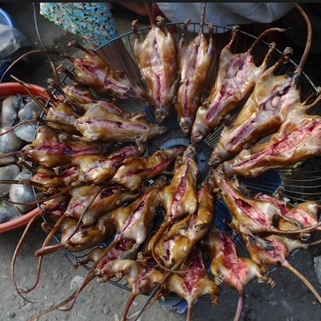 Город Ветров фото 2