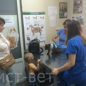 Ветеринарная клиника Аист-вет на улице Чистяковой фото 1
